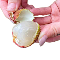 【荔莊果園】高雄大樹剪枝玉荷包36mm特級大果禮盒(5斤/盒_冷藏宅配_產地直送)