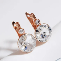 Trendy Piercing Earrings for Ladies Daily Accessories New Round Designer Women's Crystal Stud Earings Jewelry Christmas Gift