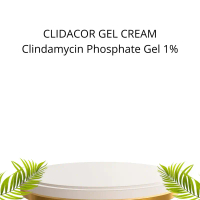SALEP ACNE SKIN CLIDACOR GEL 1GRAM