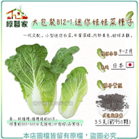 【綠藝家】大包裝B12-1.迷你娃娃菜種子3.5克(約950顆)