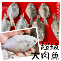 【天天來海鮮】基隆港大尾肉魚 重量:600克(4~6尾)