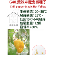 【蔬菜工坊】G40.黃辣妹魔鬼椒種子