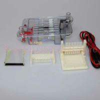 Horizontal Electrophoresis Tank Agarose Electrophoresis Tank Biological Instrument Molecular Separat