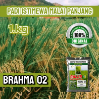 Brahma02 padi galur nusantara kemasan 1kg