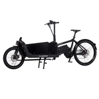 front Loading Folding 2 Wheel Electric Cargo Bike for Family