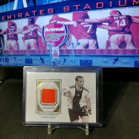Leroy Sane Memorabilia patch Limit 17/19 Futera