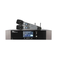 Professional kTV digital echo karaoke effect high power home theater power amplifier