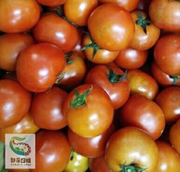 友善耕作牛番茄(600g)