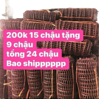 24 chậu bí f21 nhựa hd bóng đẹp