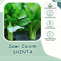 150 Biji - Benih Sawi Caisim Sawi Hijau Unggul SHINTA