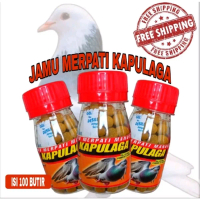 KAPULAGA JAMU MERPATI Cepat Giring Keket isi 100 Pil Ginseng Teki plus stut door losdor pil edan sar