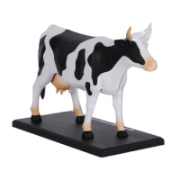 4D Vision Cow Anatomy Model Simulation Farm Animal Puzzle Assembling Model Educational Kids Learn Cognitive Toys