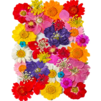 【A-ONE 匯旺】精選花材包 壓花 香氛蠟磚 美甲材料 乾燥花材 手作押花 壓花 不凋花 DIY