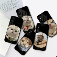 Softcase Kaca kucing lucu  Sams*ng A24 A14 5G A04 A04s A04e - Case Aesthetic Sams*ng A14 5G A04 A04s