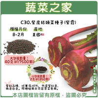 【蔬菜之家】C30.紫皮結頭菜種子(紫霞)(共有2種包裝可選)