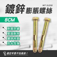 【智殿】八公分鍍鋅膨脹螺絲 膨脹管 自攻螺絲 建築壁虎 六角內膨脹螺絲(鍍鋅螺絲 外牙壁虎 165-SUSS8)
