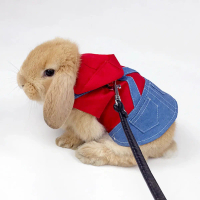 {DLGIFJIE} Cute Bunny Vest Harness Outdoor Leash Set Rabbit Clothing Suit Small Pet Ferret Hamster S