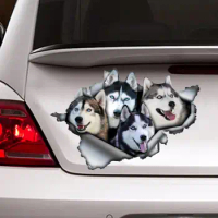 Huskies car decal , husky magnet, car decoration, car sticker , huskies sticker