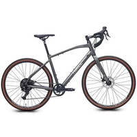 Sepeda Gravel Thrill Volare GDX Pro 700C Shimano Essa 8 Speed .L Abu - Abu