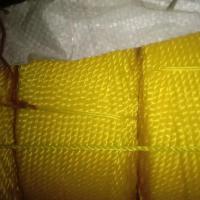tali tambang plastik 3mm tali pengikat barang tambang pvc 3mm permeter
