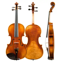 Standard Violin V06D Golden Brown Varnish Acoustic Solid Spruce Maple