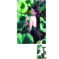 TRANH ĐÍNH ĐÁ THIẾU NỮ BÊN SEN 2 VS163 76X52CM Handmade Làm Đồ Handmade Diy