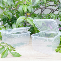 小學生必備 蠶寶寶、昆蟲 透明飼養/觀察盒