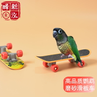 高品質 中小型鸚鵡磨砂滑板車 鸚鵡益智訓練玩具磨腳抓板訓鳥工具