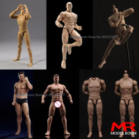 1/12 Scale Male Super Flexible Body Action Figure Model TM01 TM02 Seamless Body AM116 G001 MB101 MB102 JO-010 Joint Body Dolls