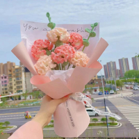 【百獅】編織花 康乃馨 手作花束 媽媽生日禮物(手工編織花 成品手工編織康乃馨花 自制毛線鉤針花)