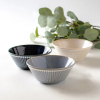 【DAIDOKORO】日本製頂級美濃燒陶瓷碗13 cm*2入(湯碗/飯碗/碗盤/餐具/餐碗)