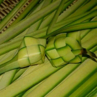 janur kelapa untuk bikin ketupat segar 10 .1