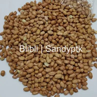 Kacang Tanah Kulit Mentah Lokal Super