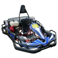 cheap Go Kart for adult High Quality Adult Gasoline Racing Go Karting