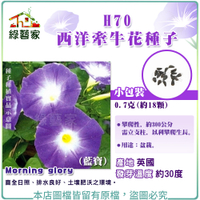 【綠藝家】H70.西洋牽牛花種子0.7克(約18顆)(藍寶)