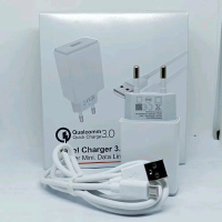 CHARGER CAS CASAN MICRO USB R3DM1 A1 9A 9C ORIGINAL