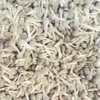 MPOT PUTIH Cemilan Rumput Laut Rasa Legit Trasi Aman untuk Bumil & Busui Berizin PIRT Original dan U
