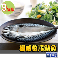 【享吃海鮮】挪威整尾鯖魚9包(350g±10%/尾)