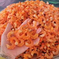[500GRAM…] RẤT NGON -SIZE.TÔM ĐẠI ,Tôm khô sạch ,Tôm sú tươi ôxi , Giòn ,Béo sấy khô thơm ngon  xuất