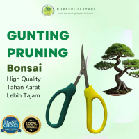 Nurseri Lestari - Gunting Dahan Pruning Bonsai High Quality Tajam Awet