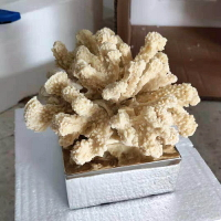 簡約抽象后現代 電鍍銀色底座米白珊瑚擺件 歐式家居軟裝飾品擺設