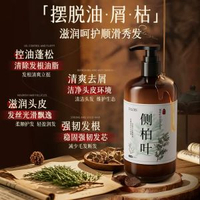 側柏葉洗頭水 生薑何首烏中藥護髮 控油蓬鬆去頭皮 男女適用氨基酸洗髮露- 圖片色 均碼