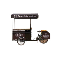 Ice Cream Tricycle Three Wheel Bicycle with Chest Freezer Mobile Fruit Fridge Coffee Bike For Summer