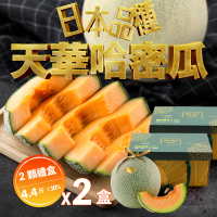 【果樹寶石】天華網紋哈密瓜兩顆禮盒x2盒（4-4.4斤/盒）(香甜多汁 軟糯超順口 限量販售)