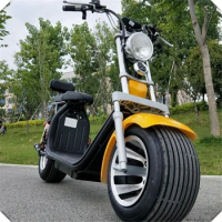 Factory New Steel Frame Electric Scooters 2000W Brushless Citycoco Adult Electric Motorcycle For Men Double Disc Brake