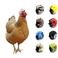 {DLGIFJIE} Parrot Helmet Pigeon Hat Bird Pet Protective Gear Sunscreen Rain Helmet Toy Bird Small Pe