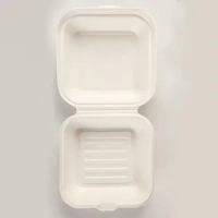 10PCS Disposable Bento Lunch Box Baking Cake Food Containers Dessert Bento  Box Disposable Food Containers Disposable Wholesale