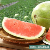 預購 金山水果 花蓮玉里大西瓜(25台斤x1顆/箱±10%)