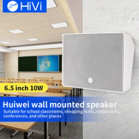 HIVI wall-mounted audio restaurant hotel school shop conference ceiling speaker background music speakers