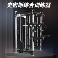 REP小飛鳥龍門架史密斯綜合訓練器家用深蹲架多功能商用健身器材